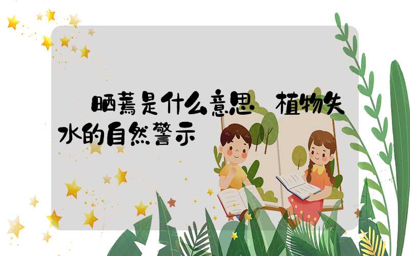 晒蔫是什么意思:植物失水的自然警示